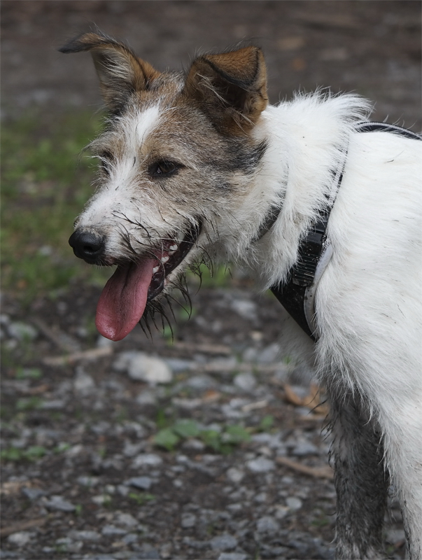 1 -- Emmely Felix SAM_2729 als Smart-Objekt-1 Kopie.jpg